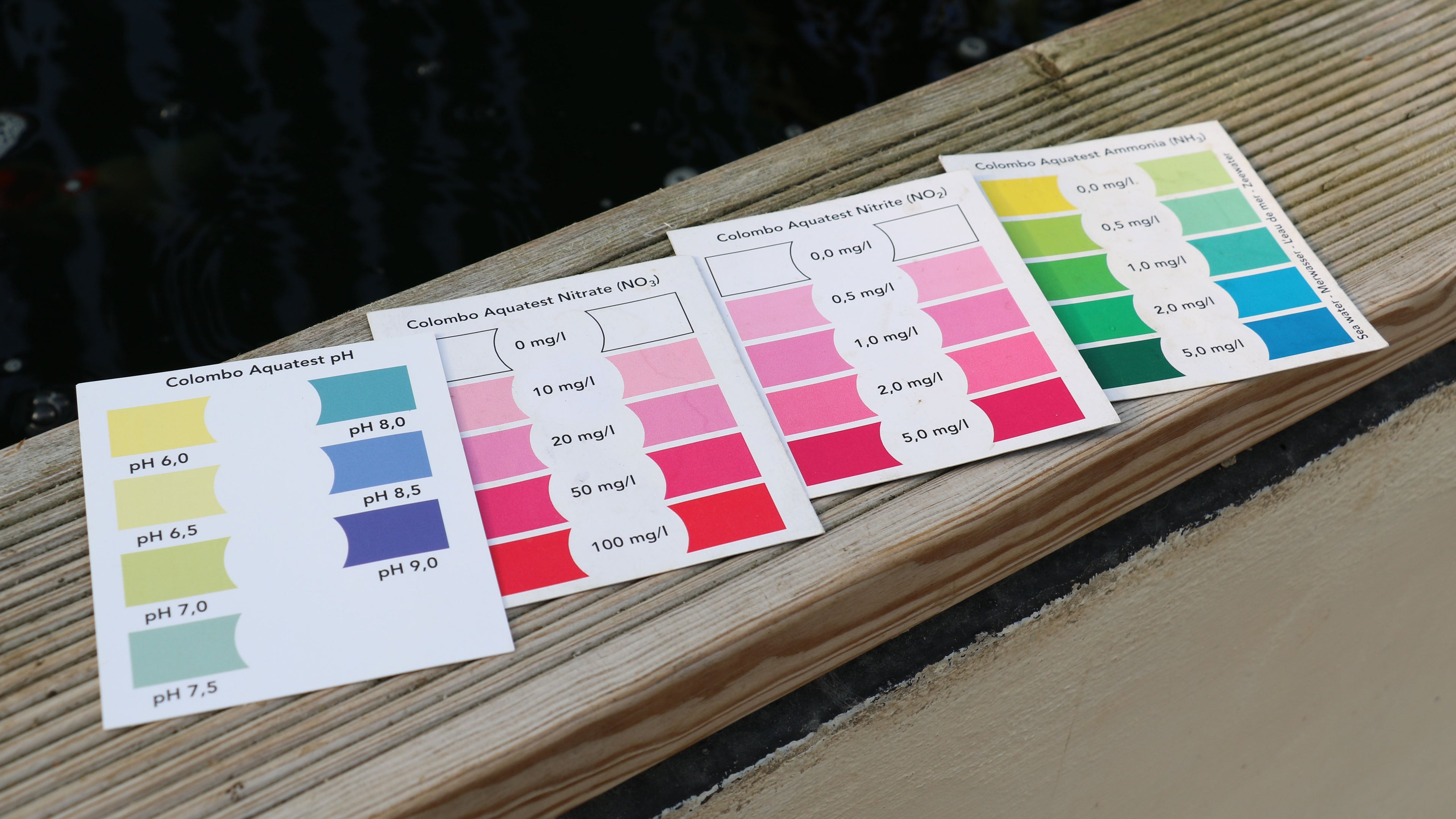 How to Test Pond Water: A Practical Guide for Koi Keepers